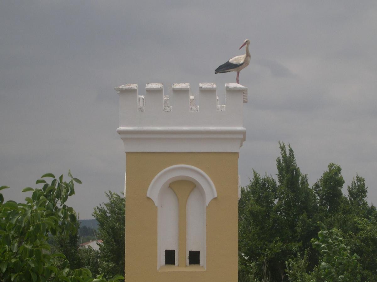 Villa Quinta De Coalhos Th Abrantes Exterior foto